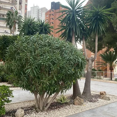 Torre Monaco Apartment Benidorm